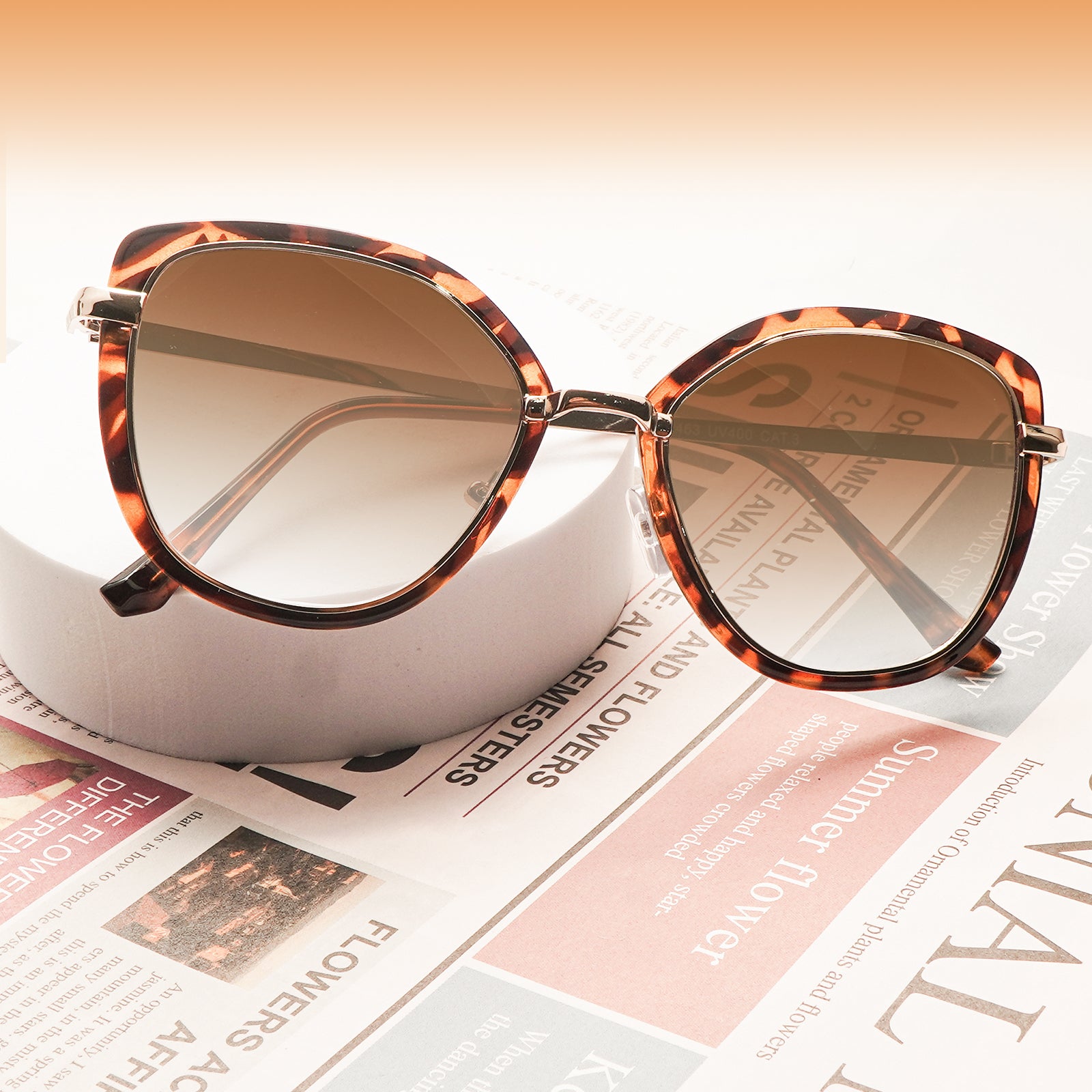 Classic Cat Eye Sunglasses for Women Trendy Shades Sun Glasses 2463